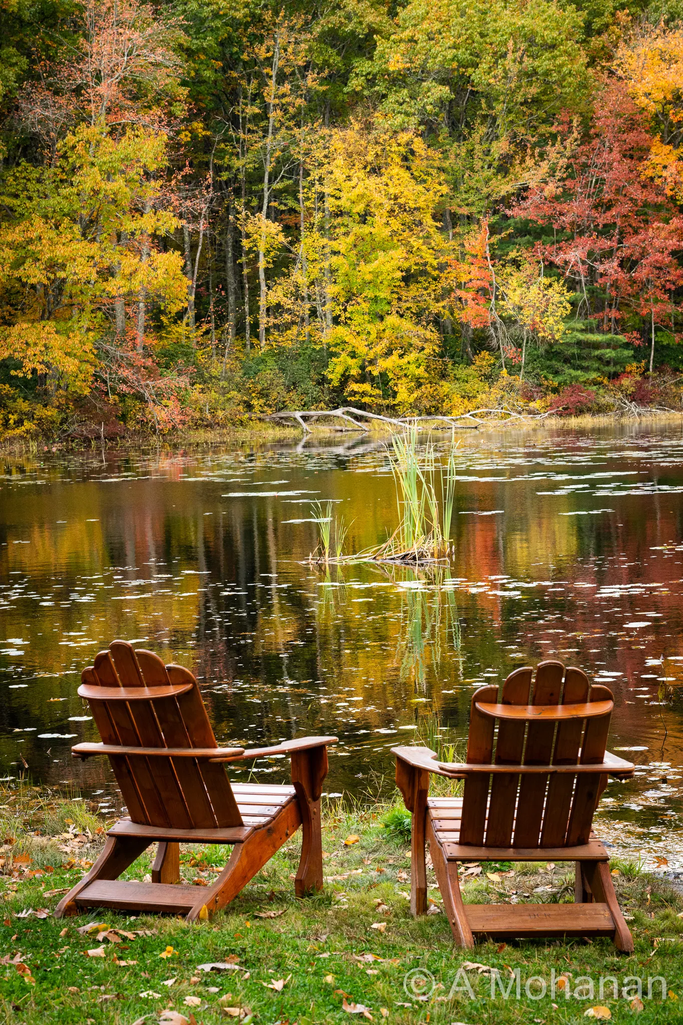 Two empty Adirondack chairs facing an autumn pond, fall foliage reflected in the still dark water.